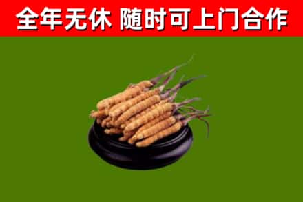 三都县烟酒回收冬虫夏草.jpg